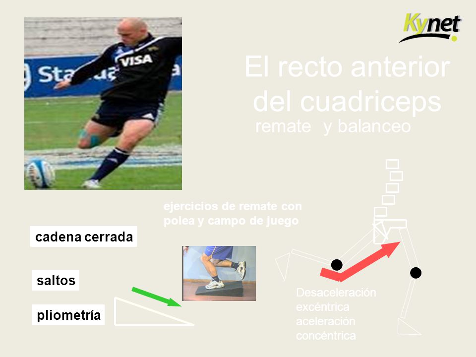 El recto anterior del cuadriceps remate y balanceo cadena cerrada