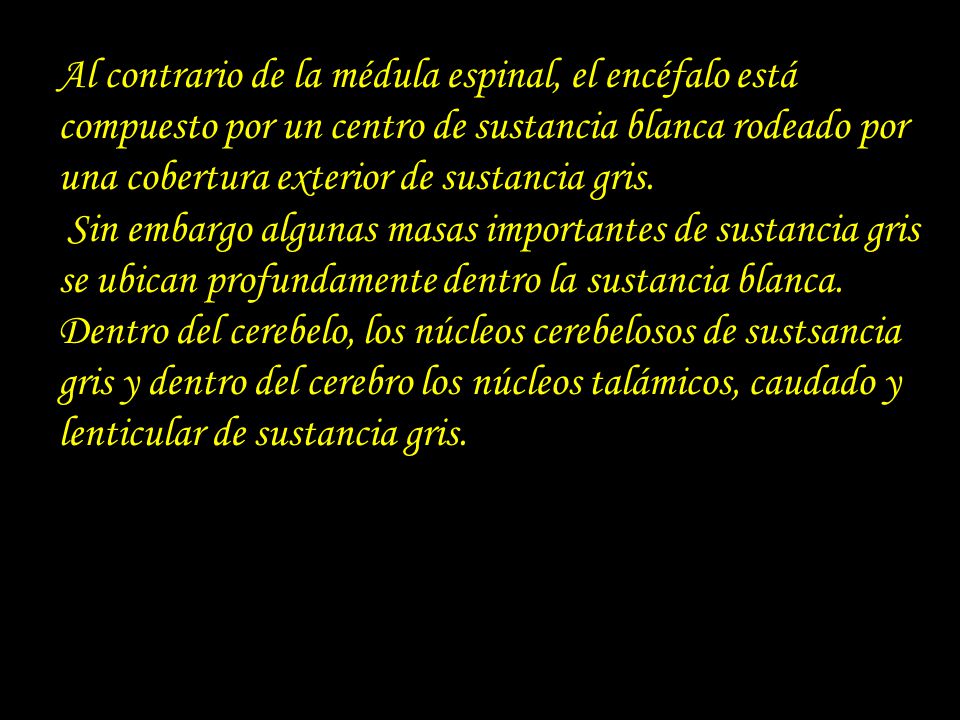 Al contrario de la médula espinal, el encéfalo está compuesto por un centro de sustancia blanca rodeado por una cobertura exterior de sustancia gris.