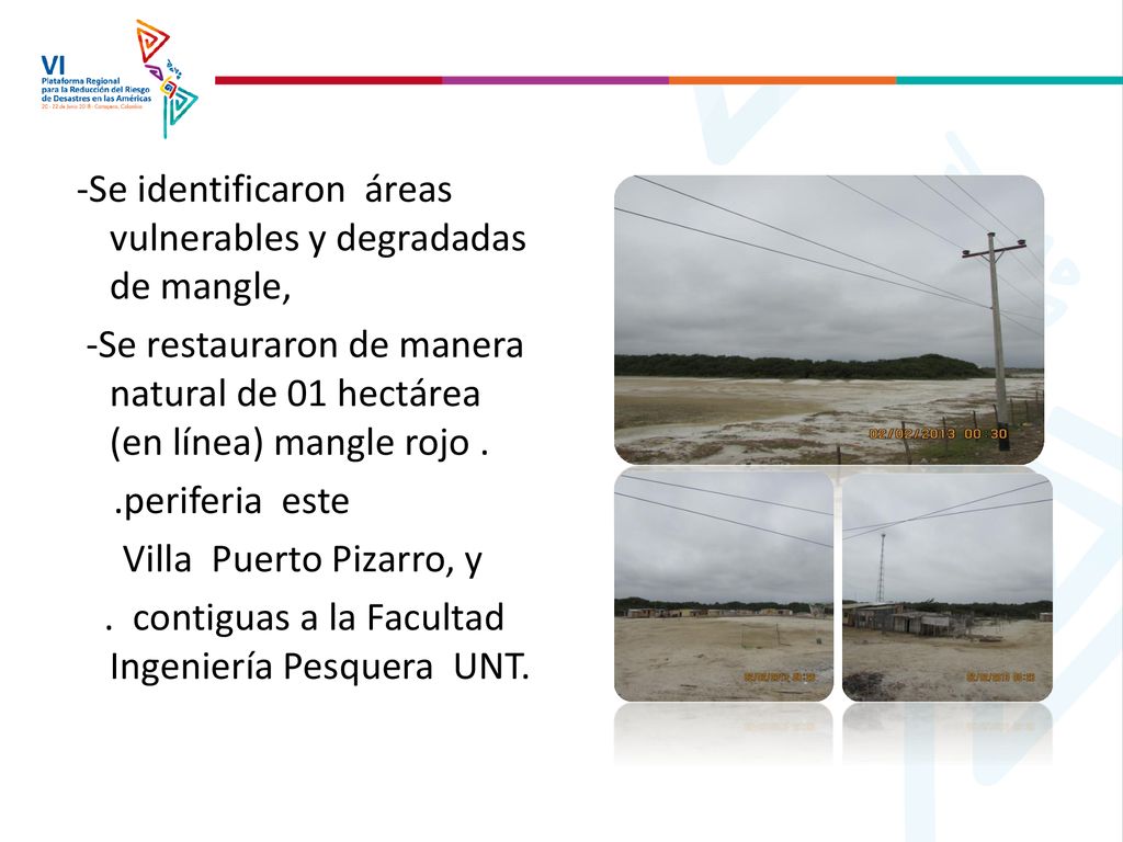 -Se identificaron áreas vulnerables y degradadas de mangle, -Se restauraron de manera natural de 01 hectárea (en línea) mangle rojo .