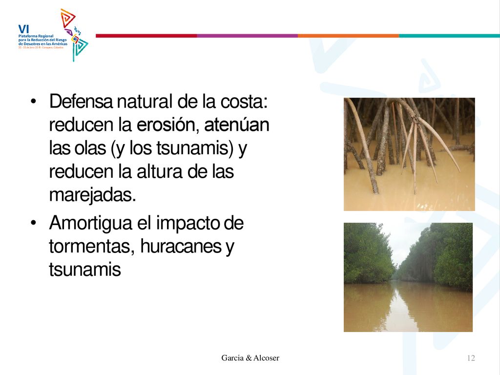 Amortigua el impacto de tormentas, huracanes y tsunamis