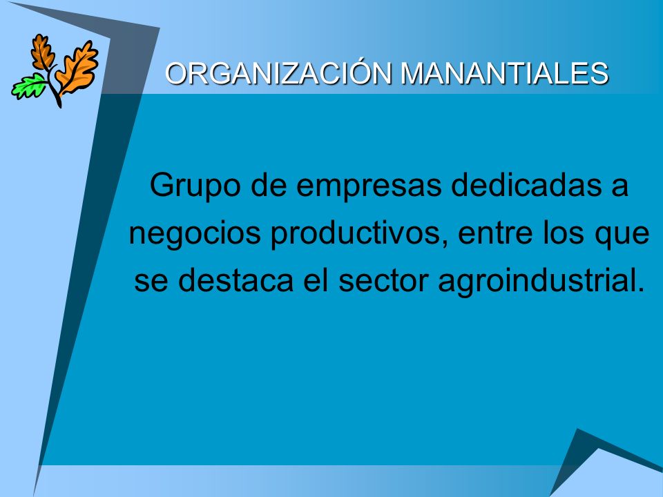 ORGANIZACIÓN MANANTIALES