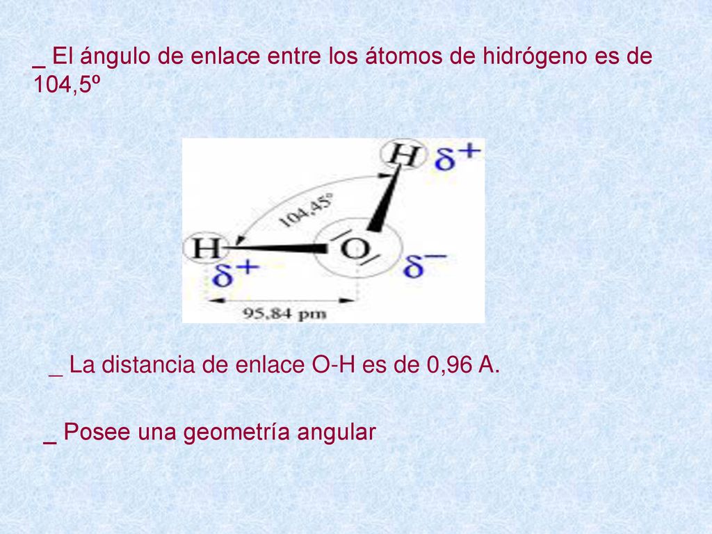 _ El ángulo de enlace entre los átomos de hidrógeno es de 104,5º