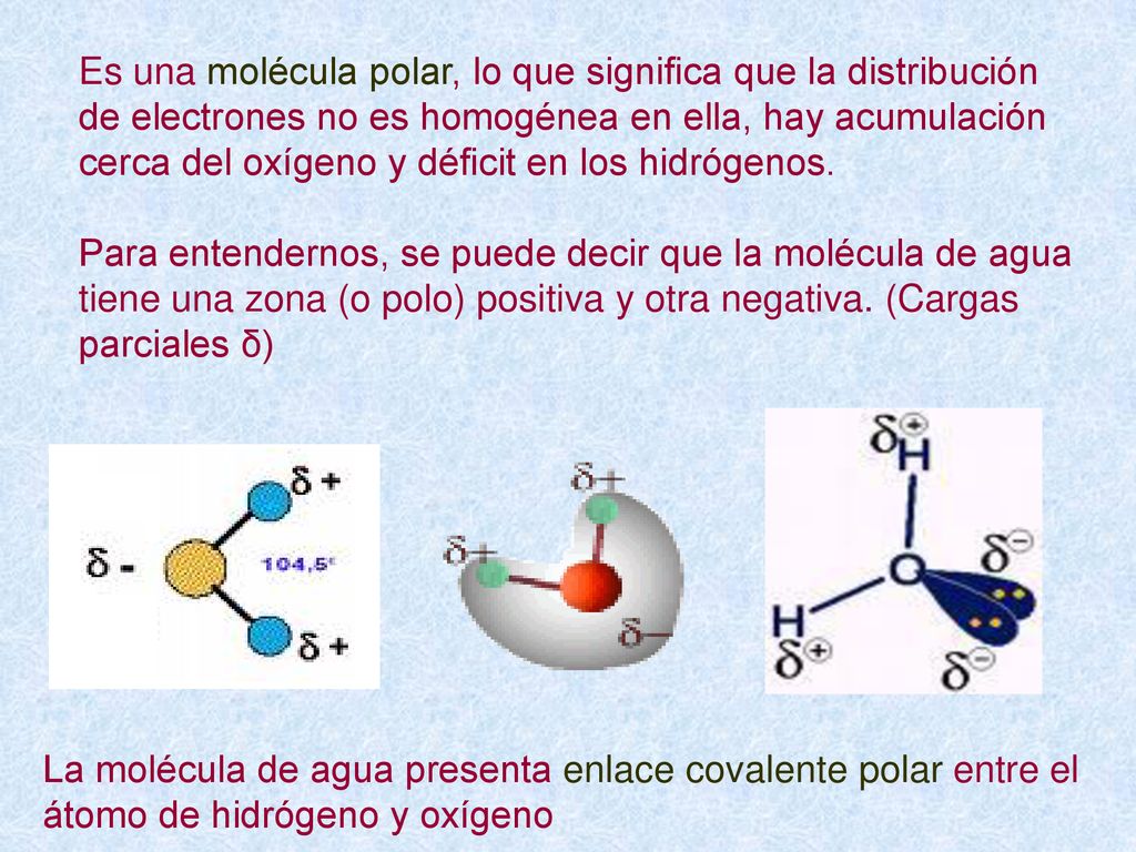 Es una molécula polar, lo que significa que la distribución de electrones no es homogénea en ella, hay acumulación cerca del oxígeno y déficit en los hidrógenos.