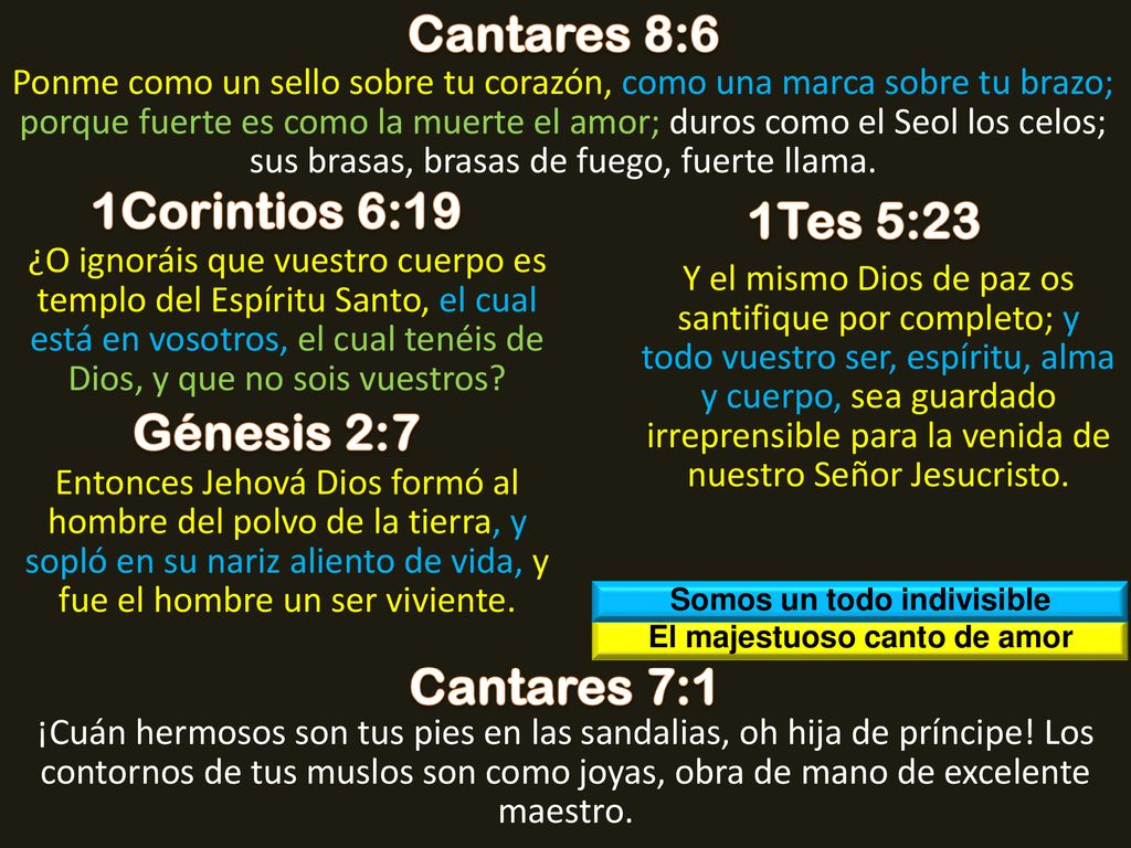 Somos un todo indivisible El majestuoso canto de amor