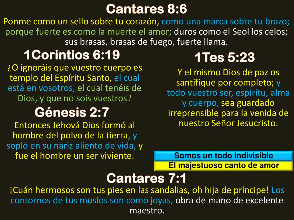 Somos un todo indivisible El majestuoso canto de amor