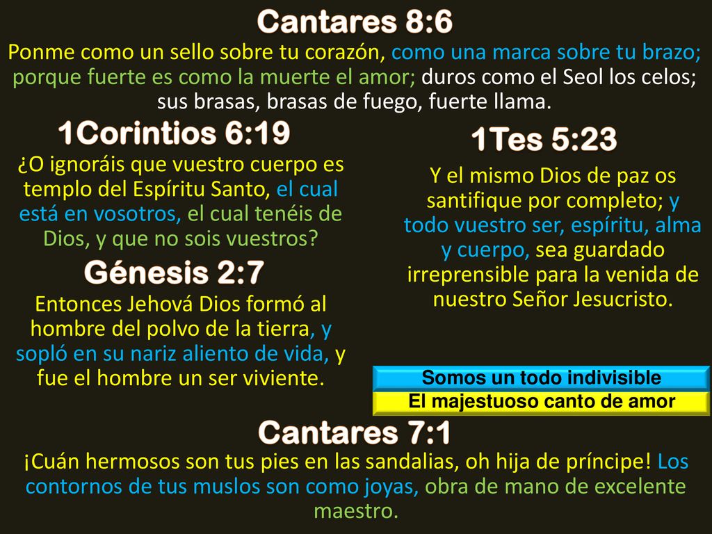 Somos un todo indivisible El majestuoso canto de amor