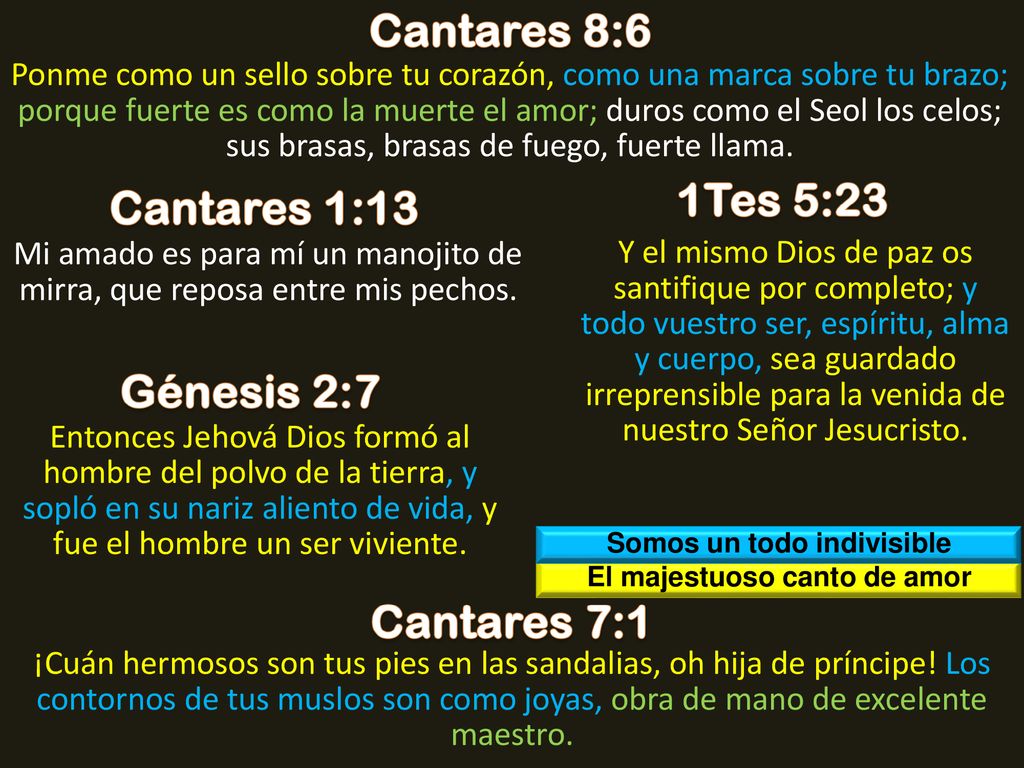 Somos un todo indivisible El majestuoso canto de amor