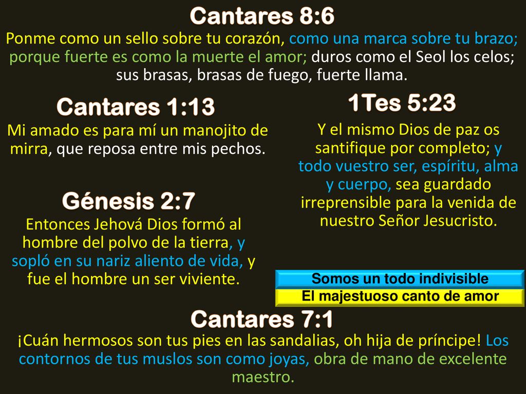 Somos un todo indivisible El majestuoso canto de amor
