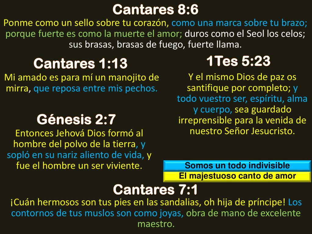 Somos un todo indivisible El majestuoso canto de amor