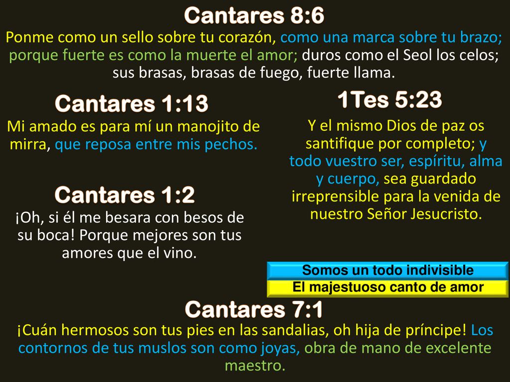 Somos un todo indivisible El majestuoso canto de amor