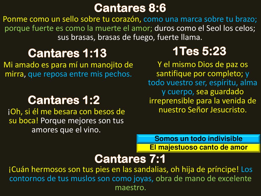 Somos un todo indivisible El majestuoso canto de amor