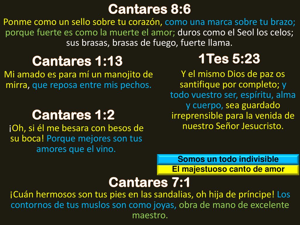 Somos un todo indivisible El majestuoso canto de amor