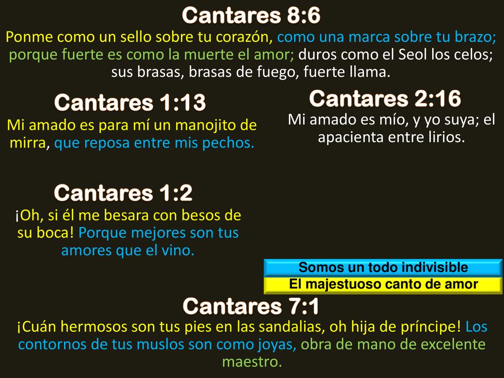 Somos un todo indivisible El majestuoso canto de amor