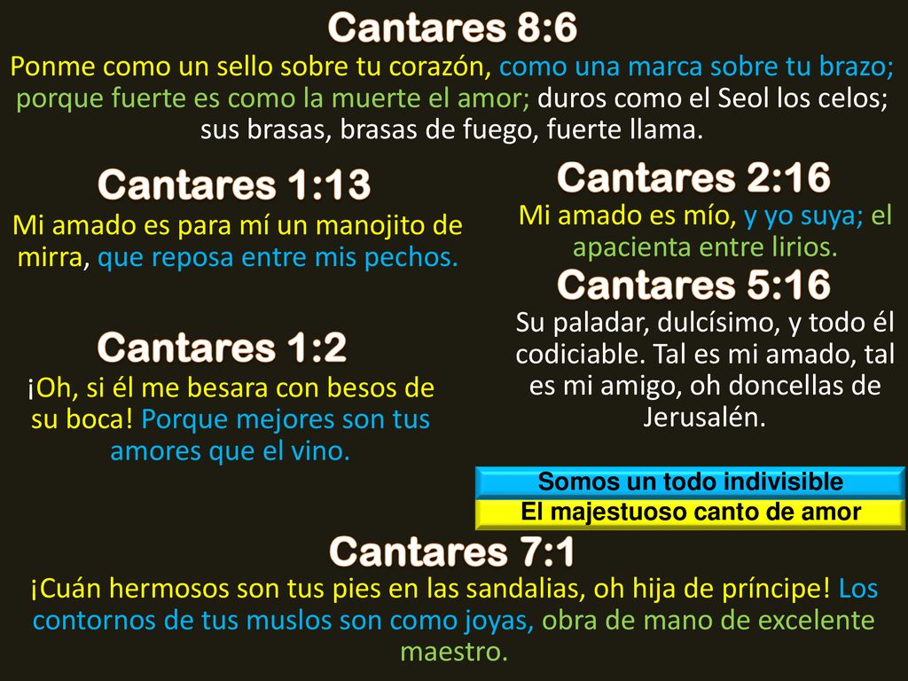 Somos un todo indivisible El majestuoso canto de amor