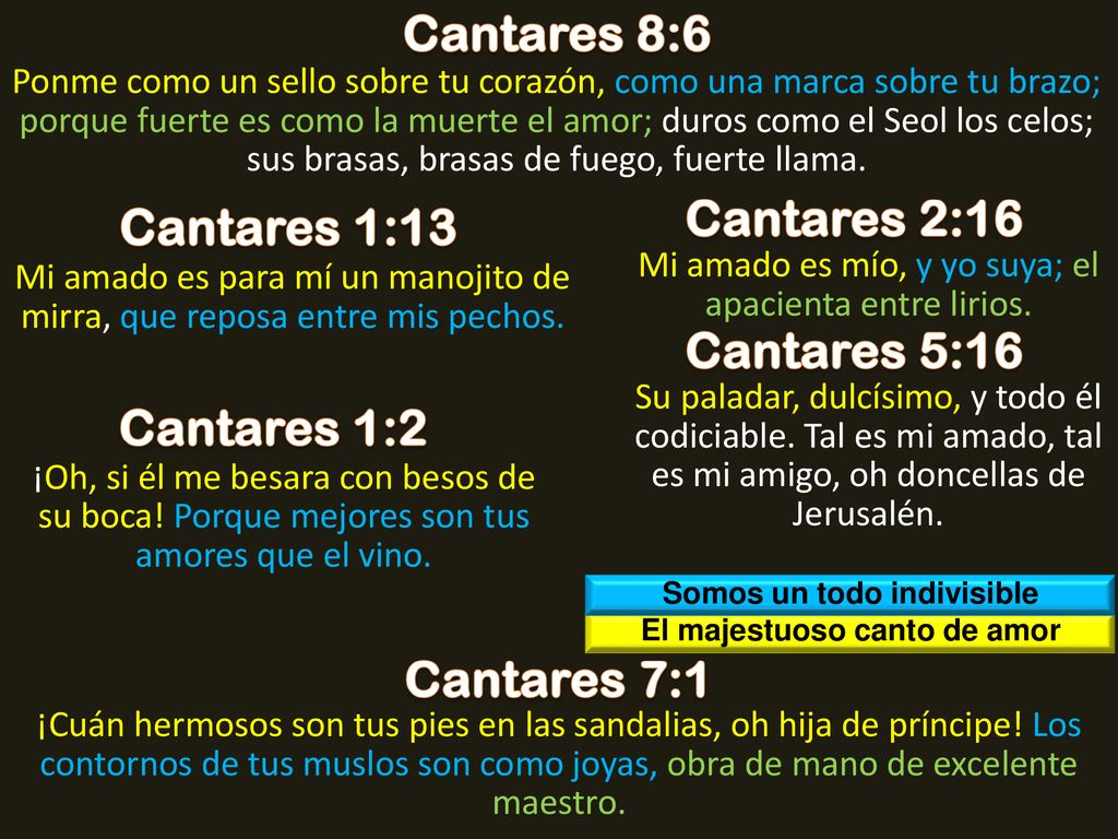Somos un todo indivisible El majestuoso canto de amor