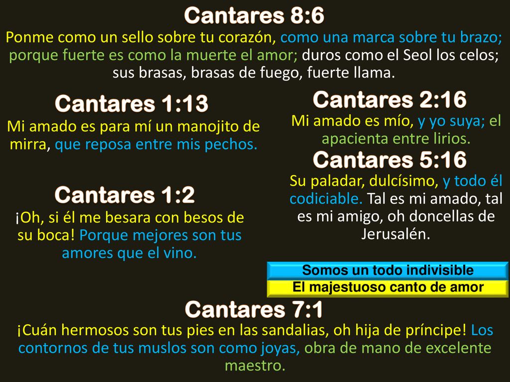 Somos un todo indivisible El majestuoso canto de amor