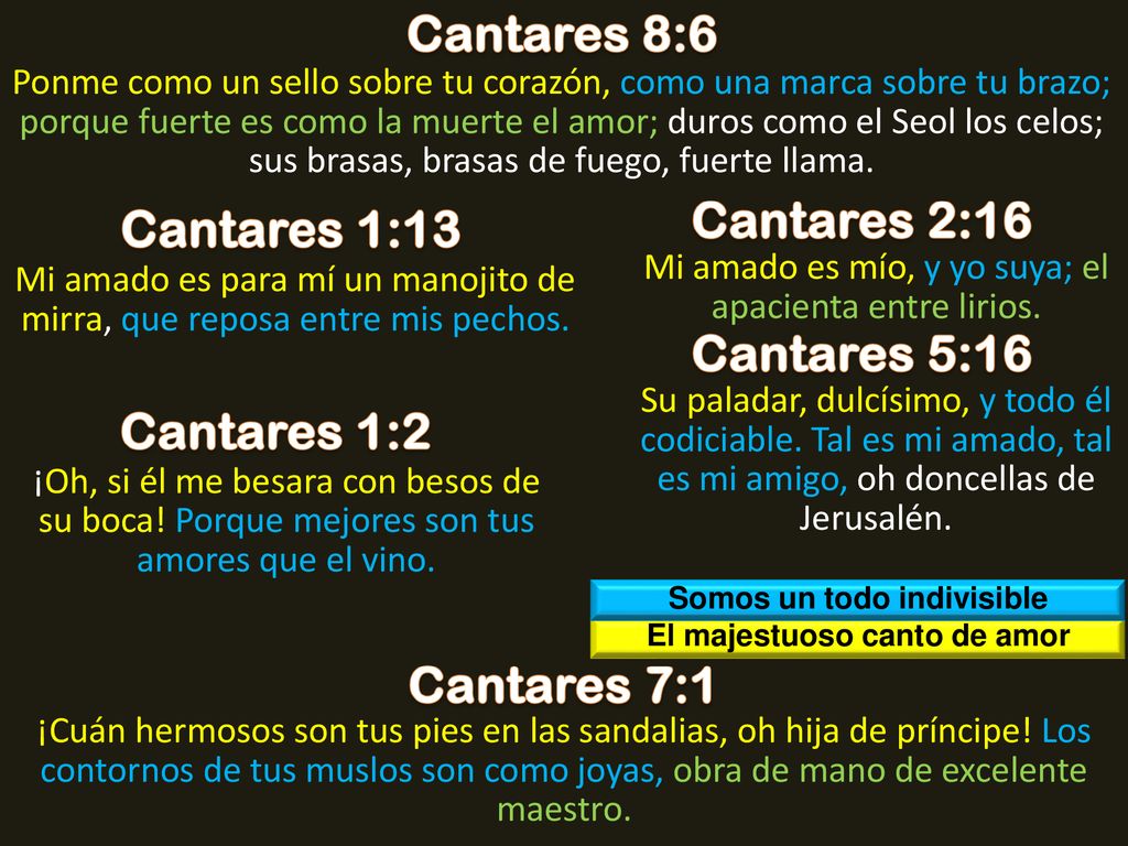 Somos un todo indivisible El majestuoso canto de amor