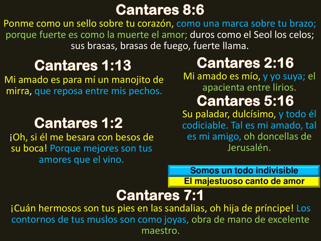 Somos un todo indivisible El majestuoso canto de amor