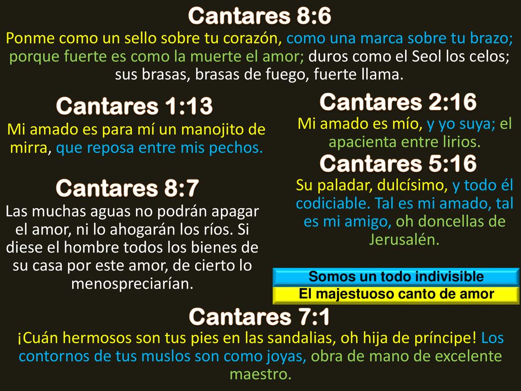 Somos un todo indivisible El majestuoso canto de amor