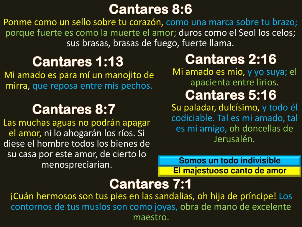 Somos un todo indivisible El majestuoso canto de amor