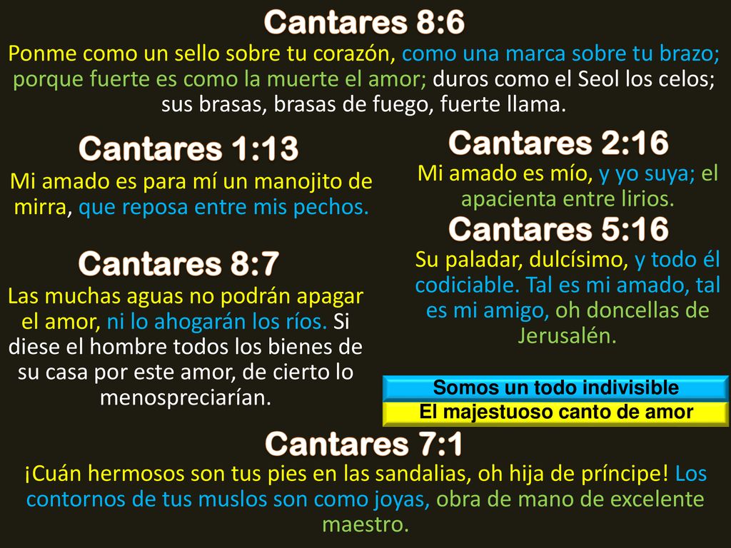 Somos un todo indivisible El majestuoso canto de amor