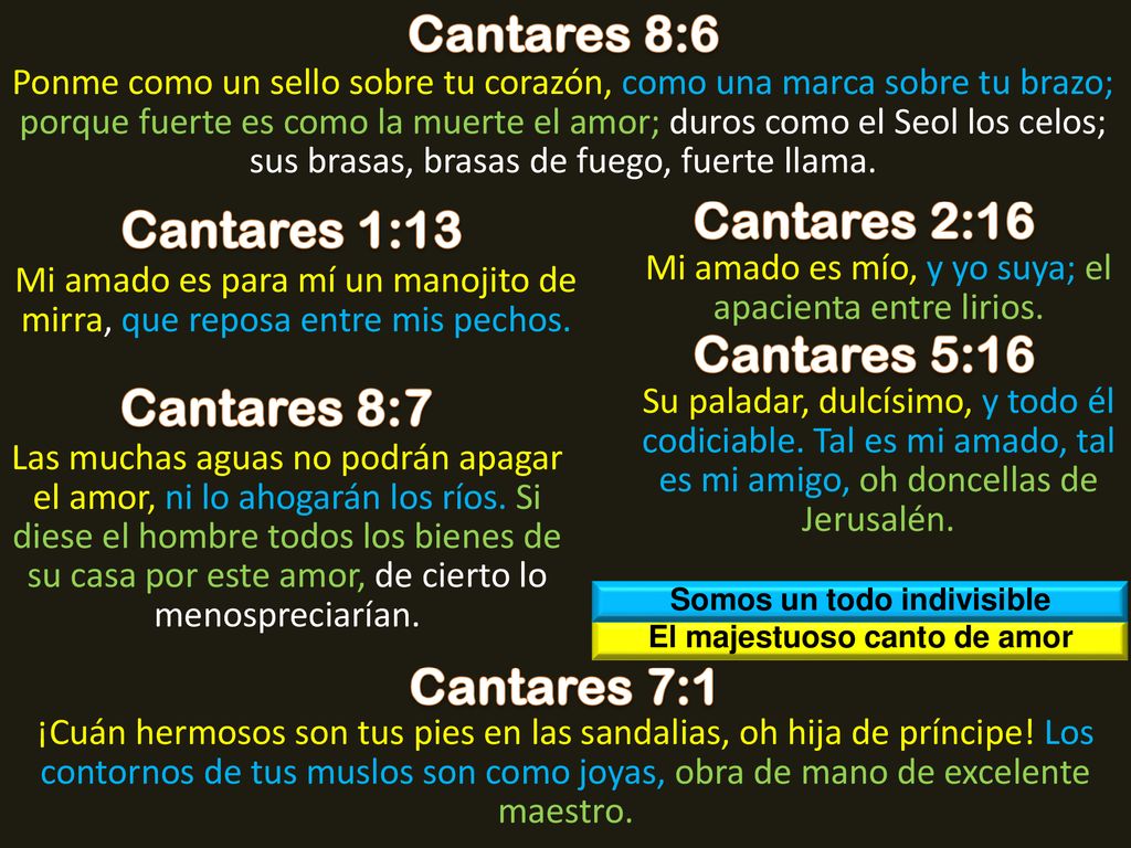 Somos un todo indivisible El majestuoso canto de amor