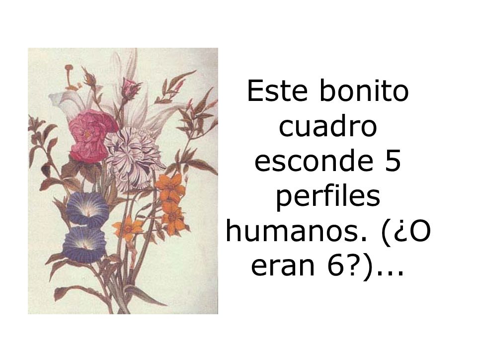 Este bonito cuadro esconde 5 perfiles humanos. (¿O eran 6 )...