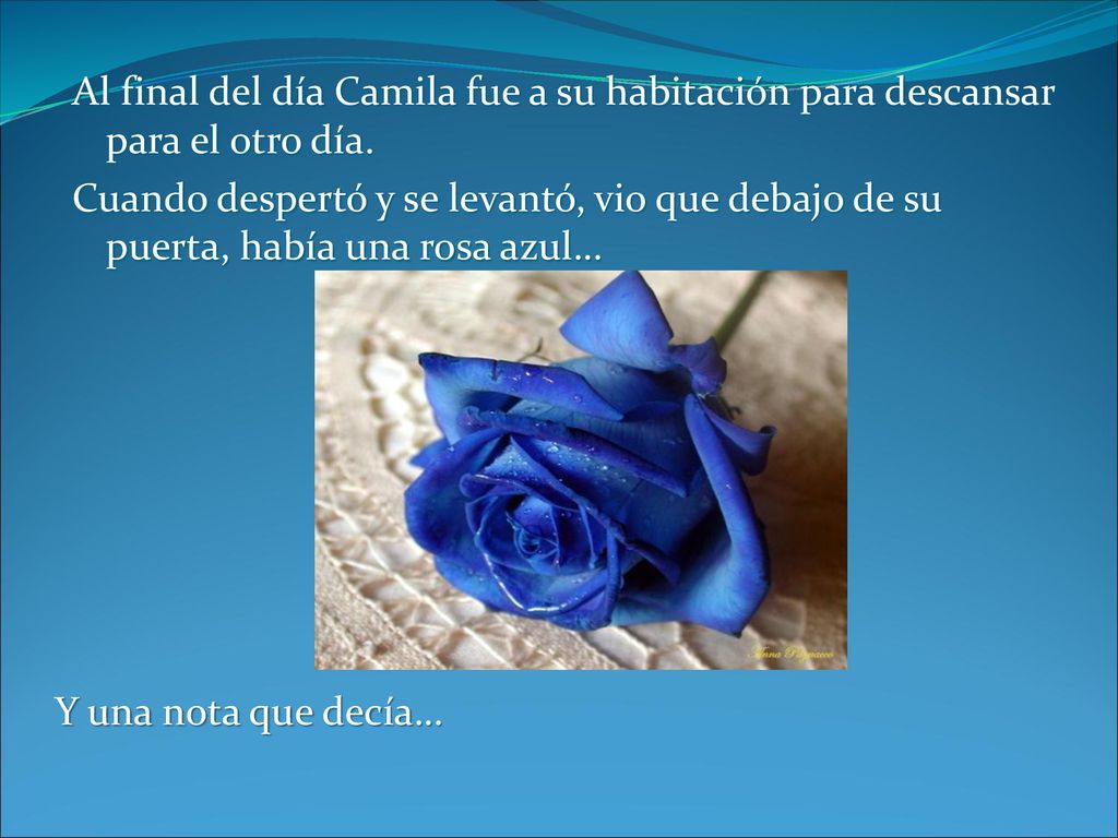 Al final del día Camila fue a su habitación para descansar para el otro día. Cuando despertó y se levantó, vio que debajo de su puerta, había una rosa azul…