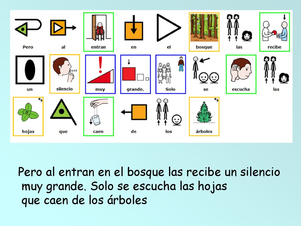 Pero al entran en el bosque las recibe un silencio