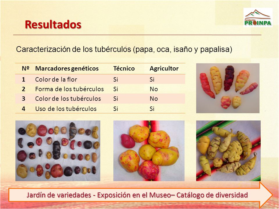 Jardín de variedades - Exposición en el Museo– Catálogo de diversidad