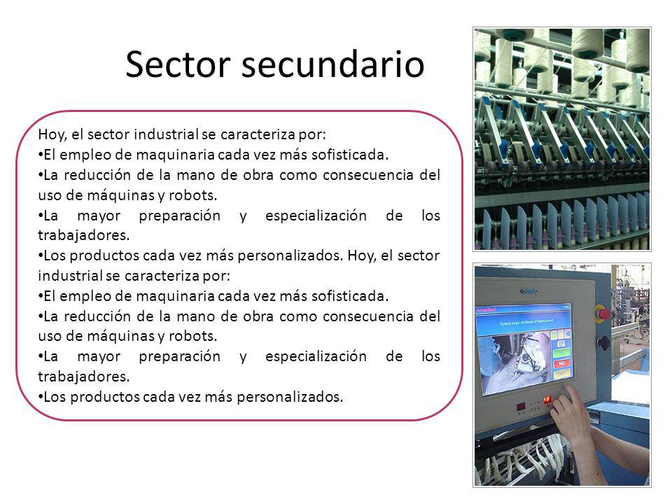Sector secundario Hoy, el sector industrial se caracteriza por: