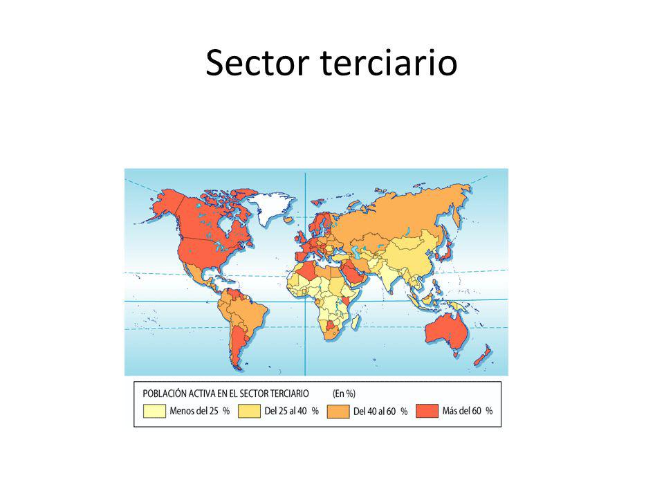 Sector terciario