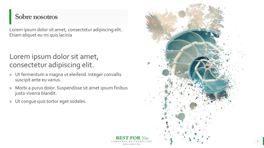 Lorem ipsum dolor sit amet, consectetur adipiscing elit.