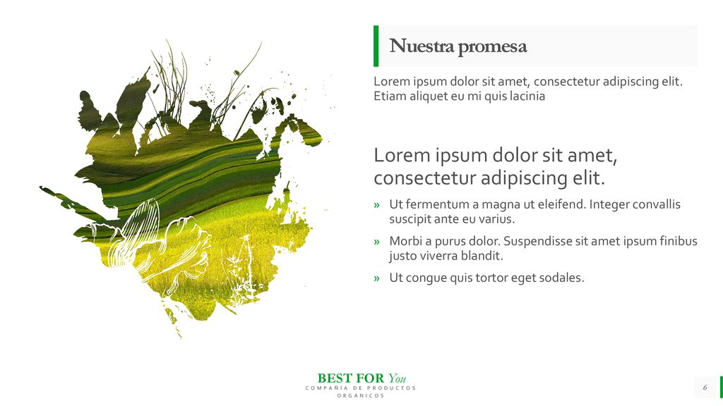Lorem ipsum dolor sit amet, consectetur adipiscing elit.