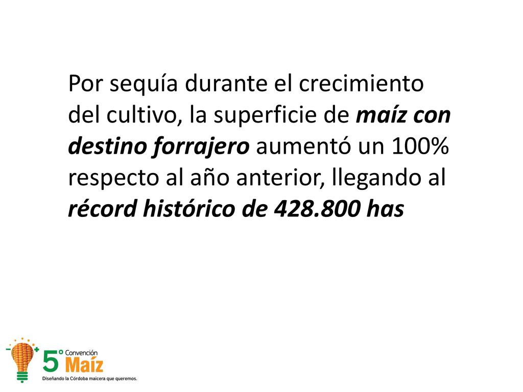 Por sequía durante el crecimiento del cultivo, la superficie de maíz con destino forrajero aumentó un 100% respecto al año anterior, llegando al récord histórico de has
