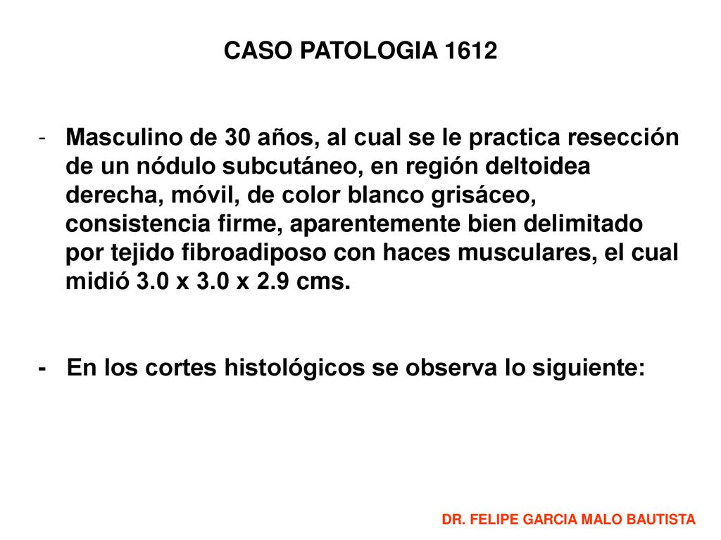 - En los cortes histológicos se observa lo siguiente: