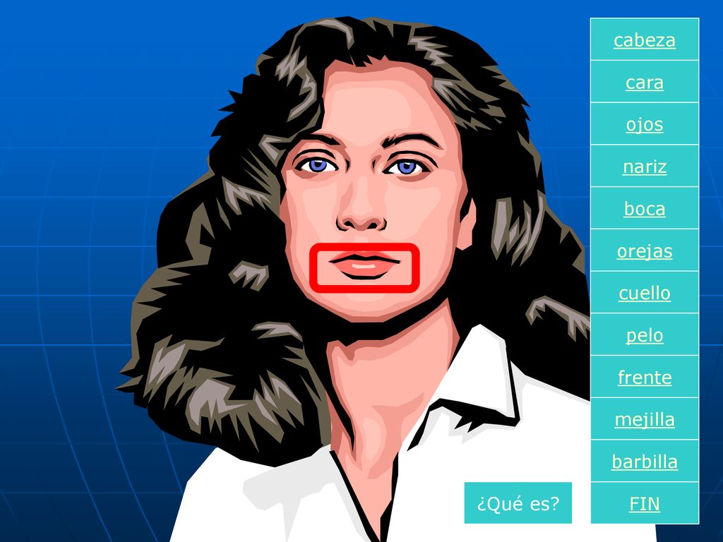 cabeza cara ojos nariz boca orejas cuello pelo frente mejilla barbilla ¿Qué es FIN