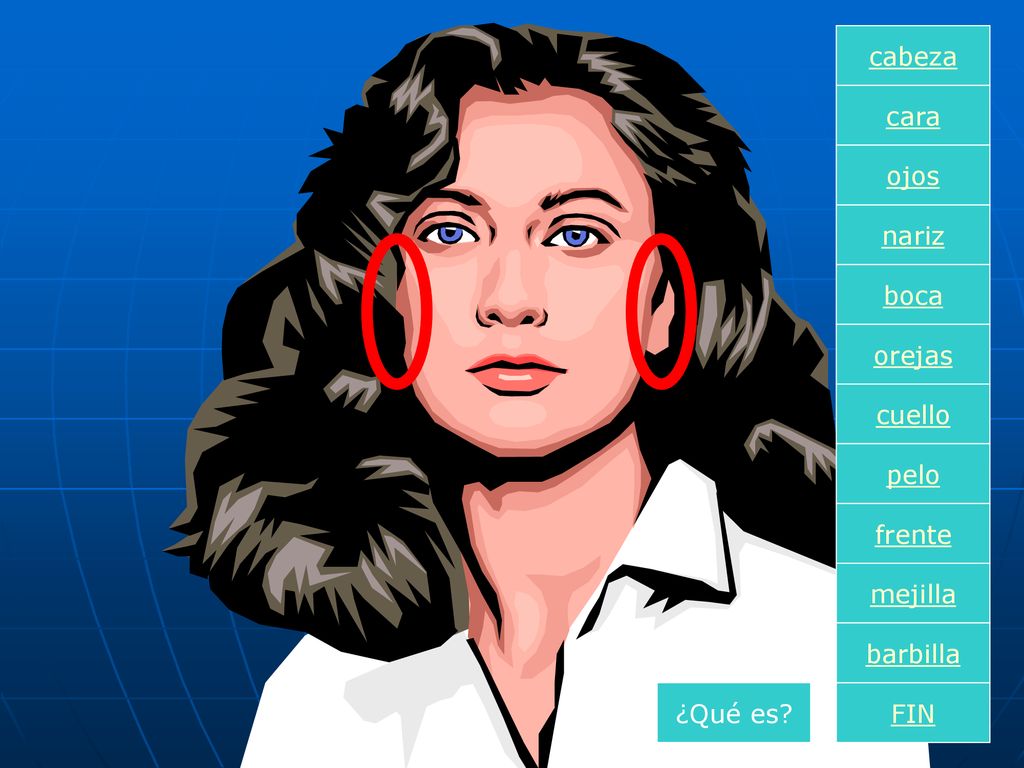 cabeza cara ojos nariz boca orejas cuello pelo frente mejilla barbilla ¿Qué es FIN
