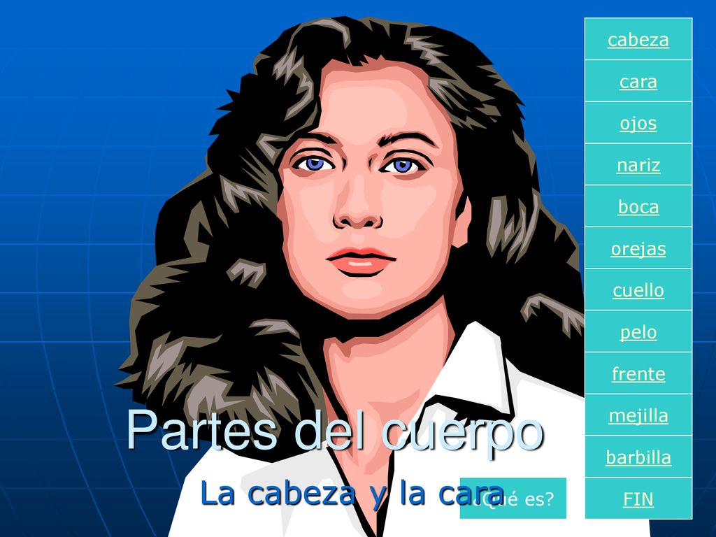 Partes del cuerpo La cabeza y la cara cabeza cara ojos nariz boca