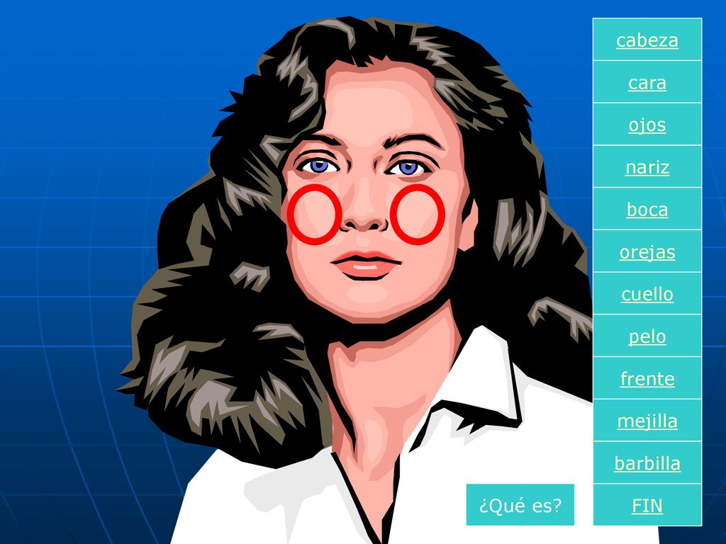 cabeza cara ojos nariz boca orejas cuello pelo frente mejilla barbilla ¿Qué es FIN