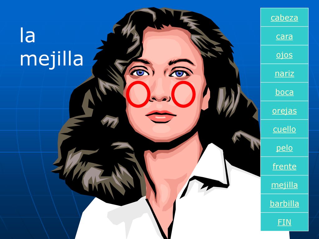 la mejilla cabeza cara ojos nariz boca orejas cuello pelo frente