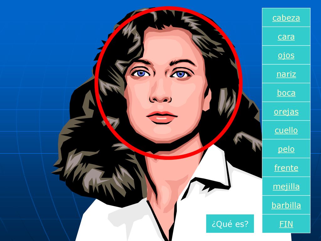 cabeza cara ojos nariz boca orejas cuello pelo frente mejilla barbilla ¿Qué es FIN