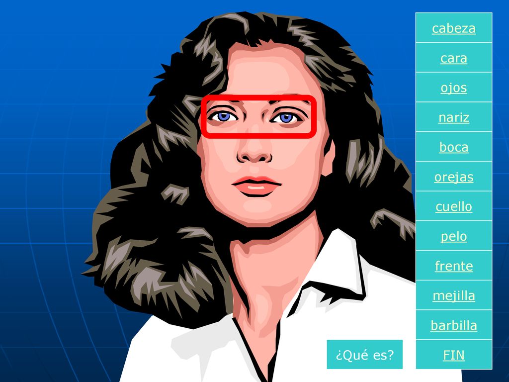 cabeza cara ojos nariz boca orejas cuello pelo frente mejilla barbilla ¿Qué es FIN