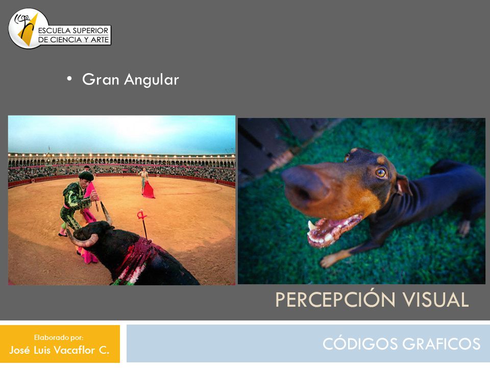 Percepción visual Gran Angular CÓDIGOS GRAFICOS José Luis Vacaflor C.