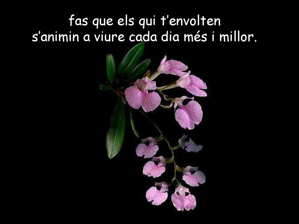 fas que els qui t’envolten s’animin a viure cada dia més i millor.