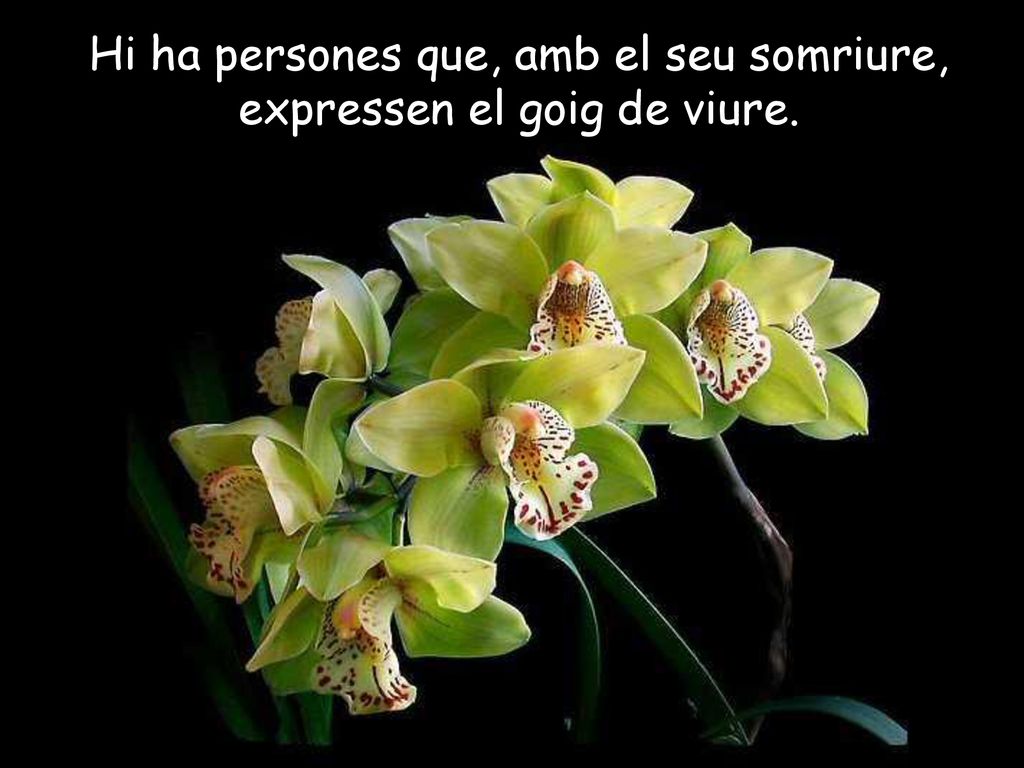 Hi ha persones que, amb el seu somriure, expressen el goig de viure.