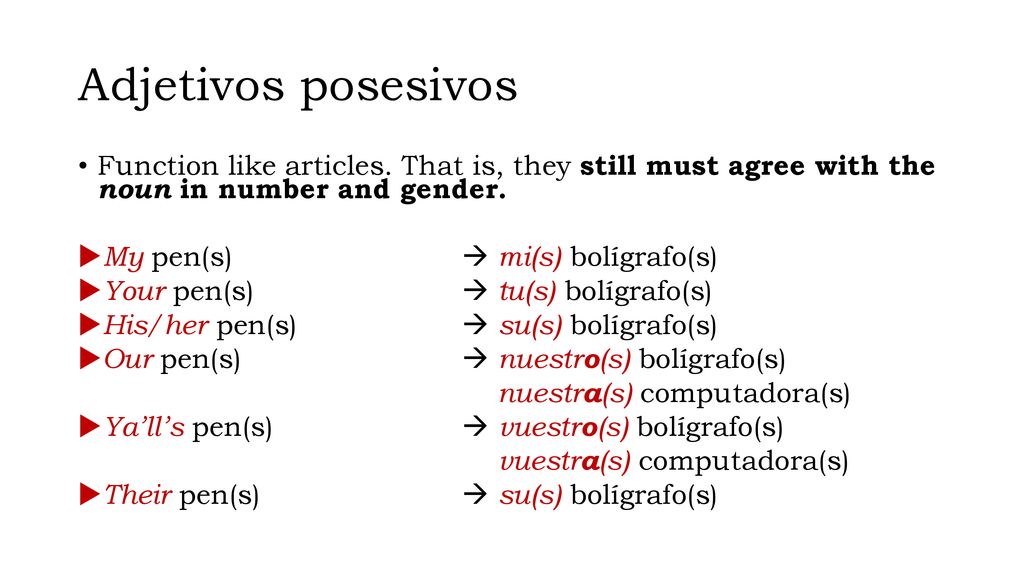 Adjetivos posesivos Function like articles. That is, they still must agree with the noun in number and gender.