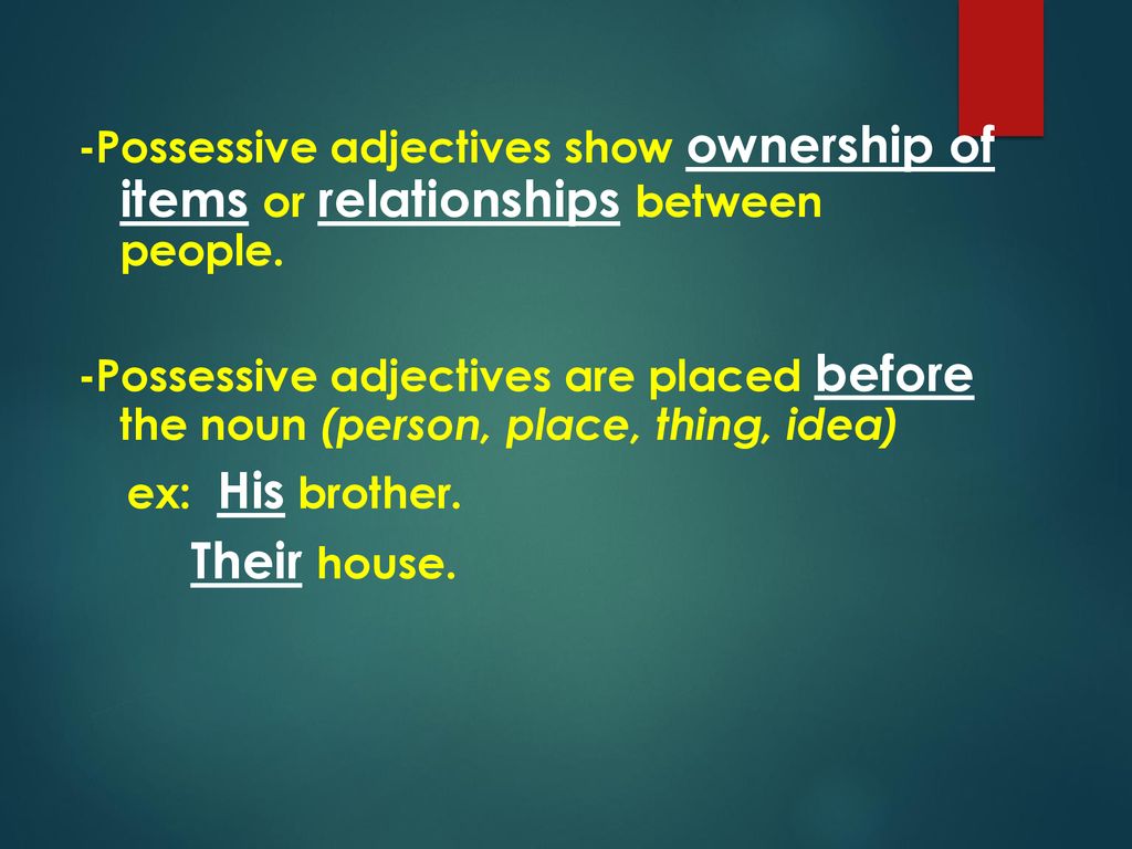 -Possessive adjectives show ownership of items or relationships between people.