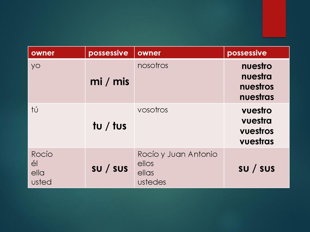 mi / mis tu / tus su / sus nuestro nuestra nuestros nuestras vuestro