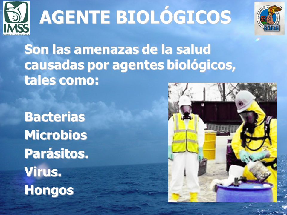 AGENTE BIOLÓGICOS Son las amenazas de la salud causadas por agentes biológicos, tales como: Bacterias.